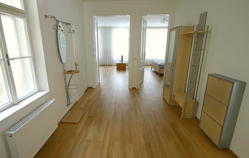 apt-pfaffenberger-1-bedroom-vorz