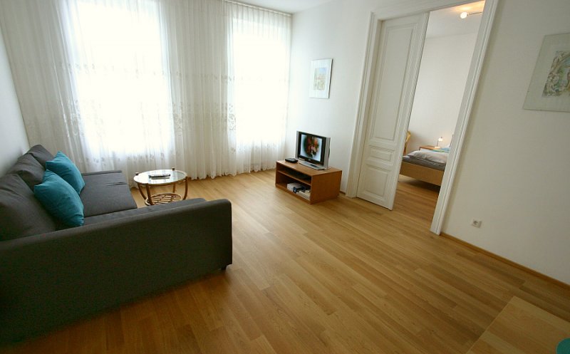 apt-pfaffenberger-1-bedroom-wohnz-a