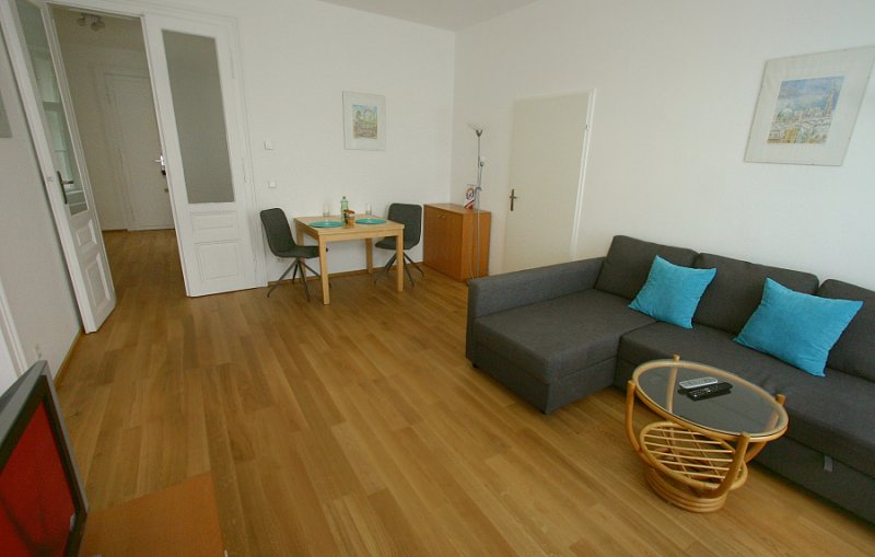 apt-pfaffenberger-1-bedroom-wohnz-b