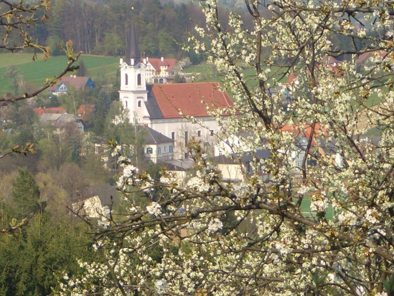 deutschmann-bad-gams-winzerstube-06