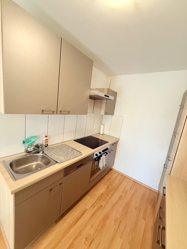 dieber-graz-ferienwohnungen-whg-2-kueche