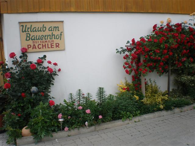 pachler-urlaub-am-bauernhof