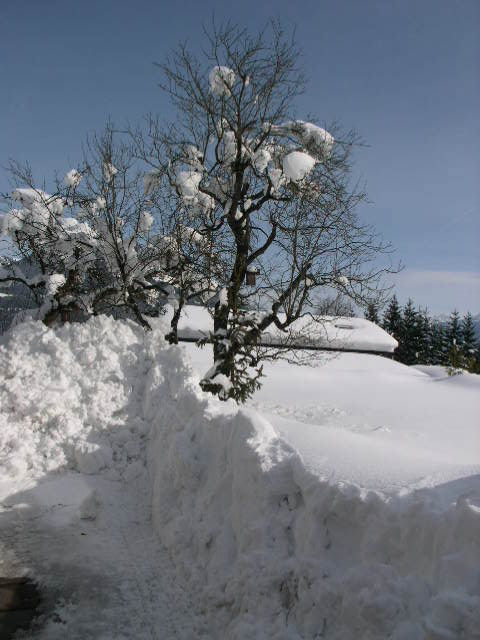 hutmann-winter