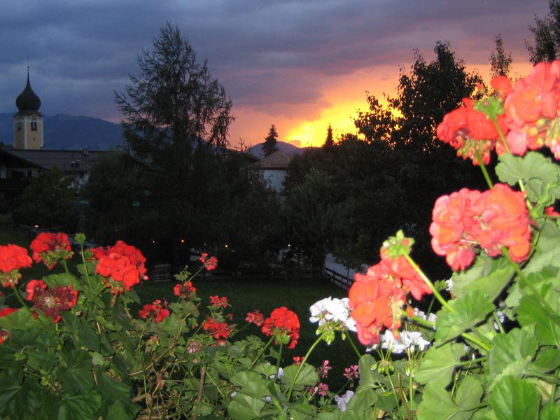 ausblick-balkon