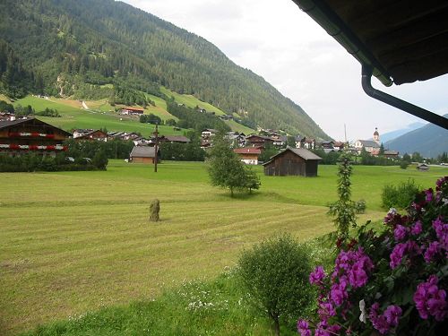 alpenveilchen-ausblick