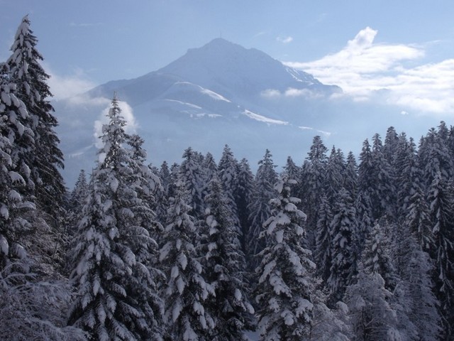 winter-kitzbueheler-horn