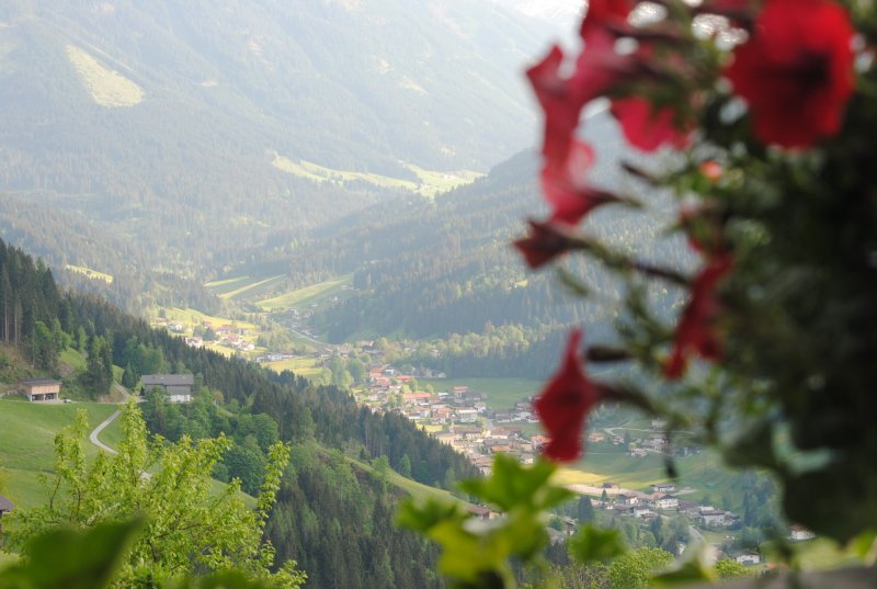 sommer-hopfgarten-siedler-landschaft-2