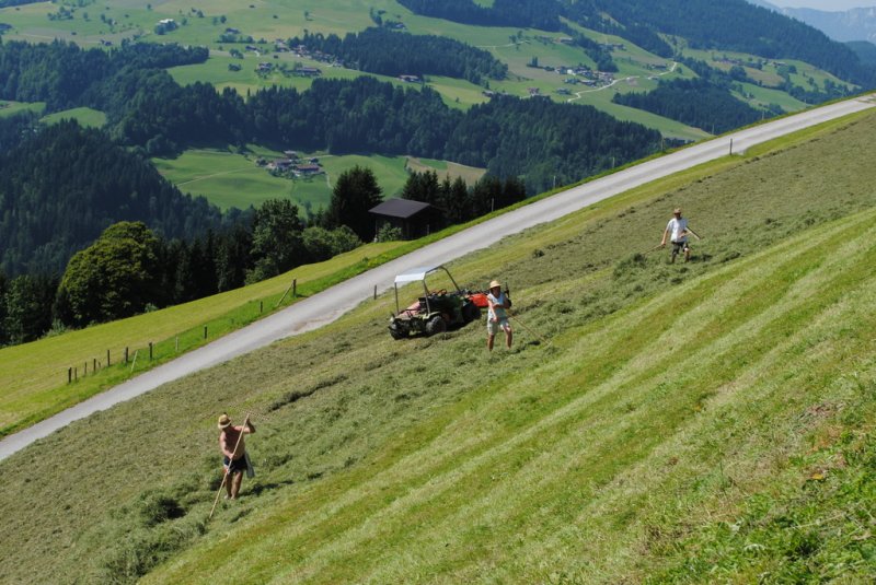 sommer-siedlerhof-heuarbeit