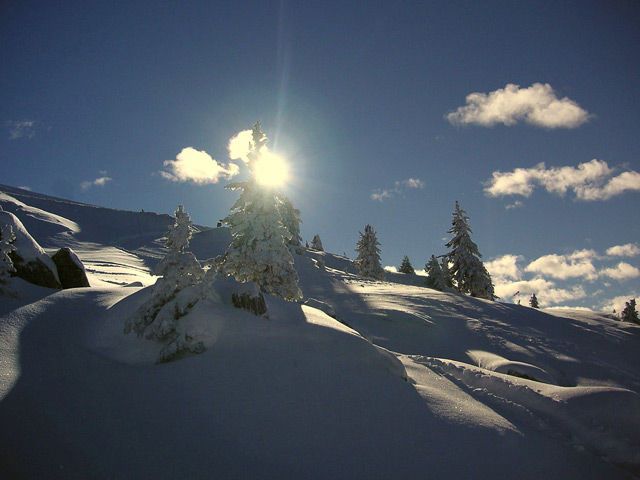 20ferienwohnungen-wechselberger-hippach