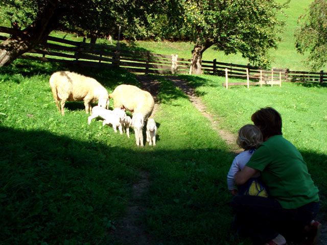 22ruggenthalerhof-matrei