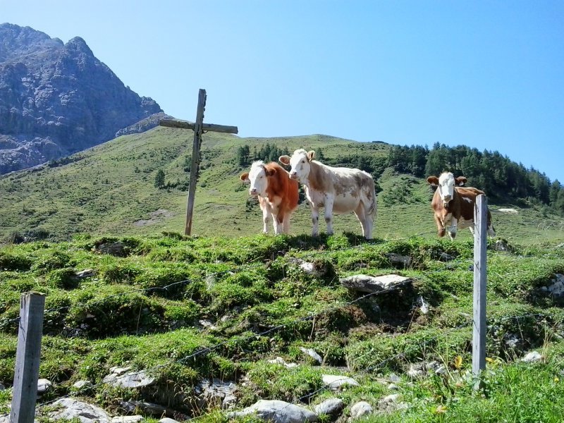 002-ferien-elbigenalp