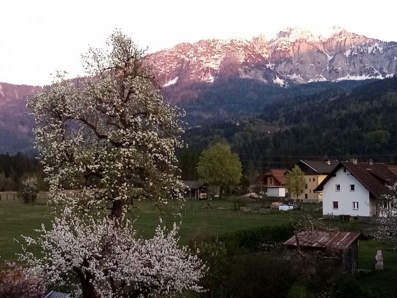 gartnerkofel-rattendorf-kaernten-copyright-ferienwohnung-plozner-23