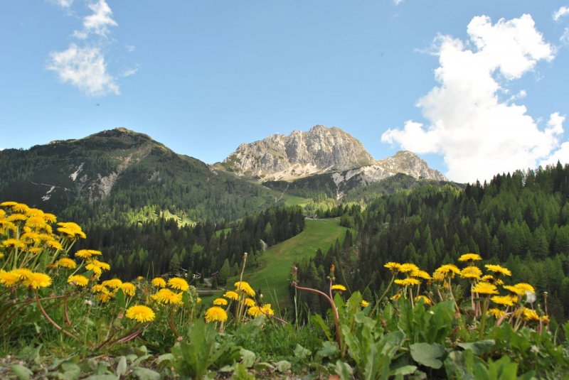 nassfeld-watschiger-alm-gartnerkofel