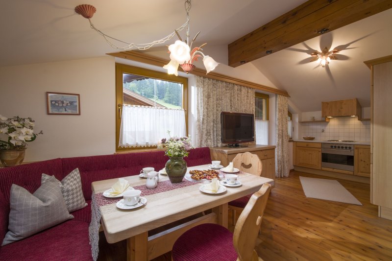 ferienwohnung-tirol-hinterthiersee-18-wohnkueche