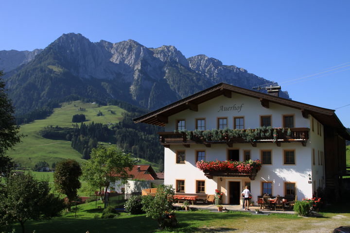 01-auerhof-walchsee-sommer