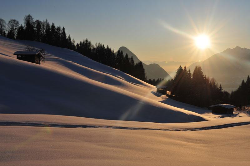 zimmermoos-winterzauber