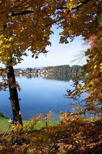 auch-im-herbst-wunderschoen