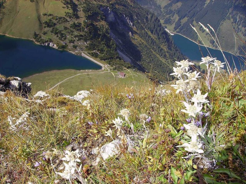 augenblicke-im-almdorf-tirol