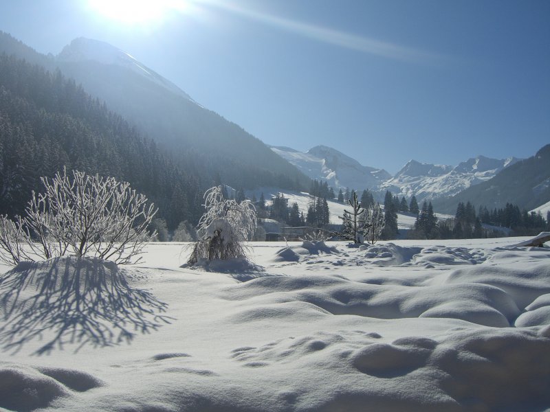 ausblick-winter