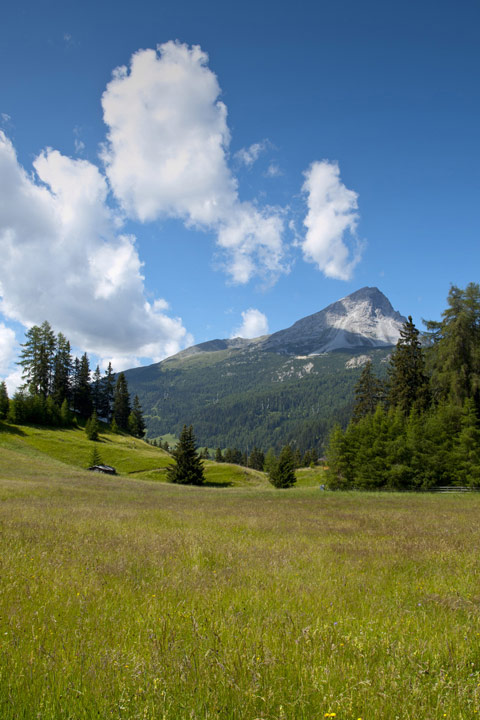 sommer-berggipfel