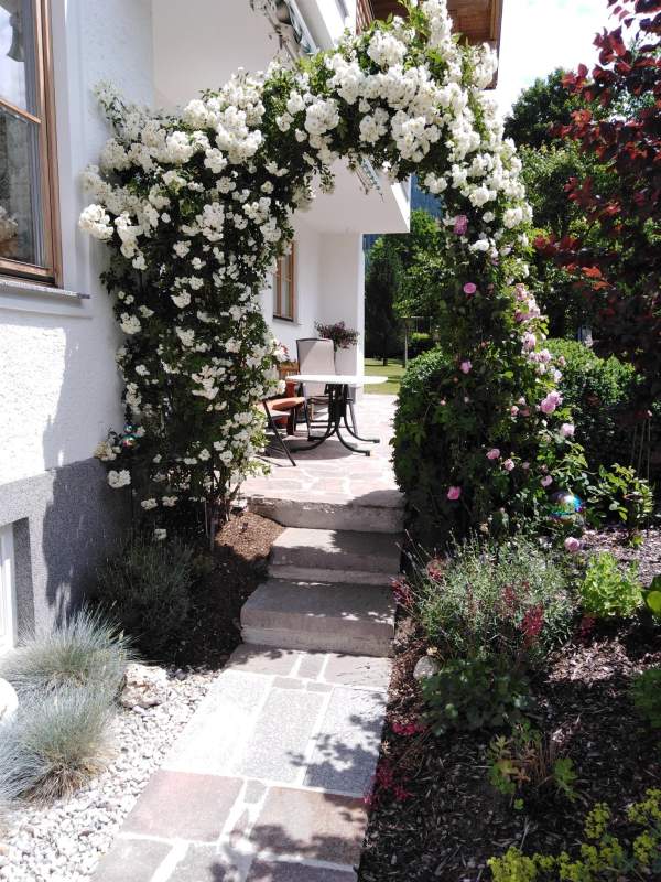 2c3ef449-1dd6-4ec7-bb7c-48e870738aaf