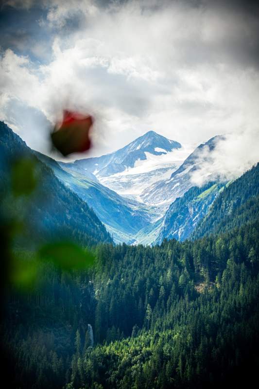 cfd52fd6-ec4f-4a51-8d71-cbd2de1d9e90