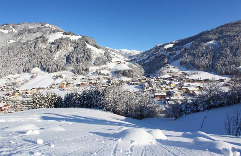 c28a3378-d03f-4ecf-9013-2613fdc525f7