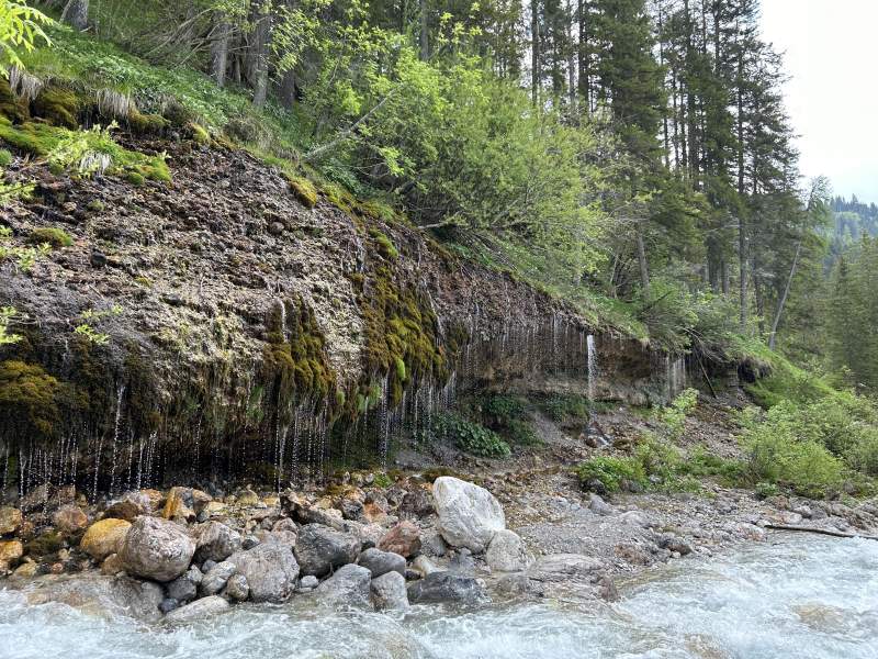 5ee872bc-0d7e-4d03-93f3-cff44e2ab3fa