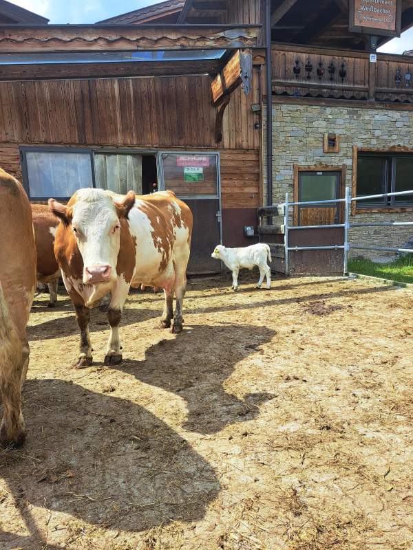 50671d75-3fde-4420-8c55-4909f0011c7c