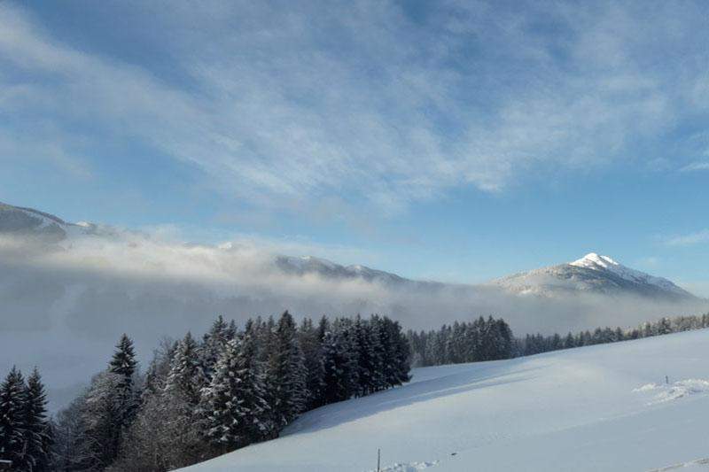 f2654446-db36-4b21-83b0-ea4d07b3d928