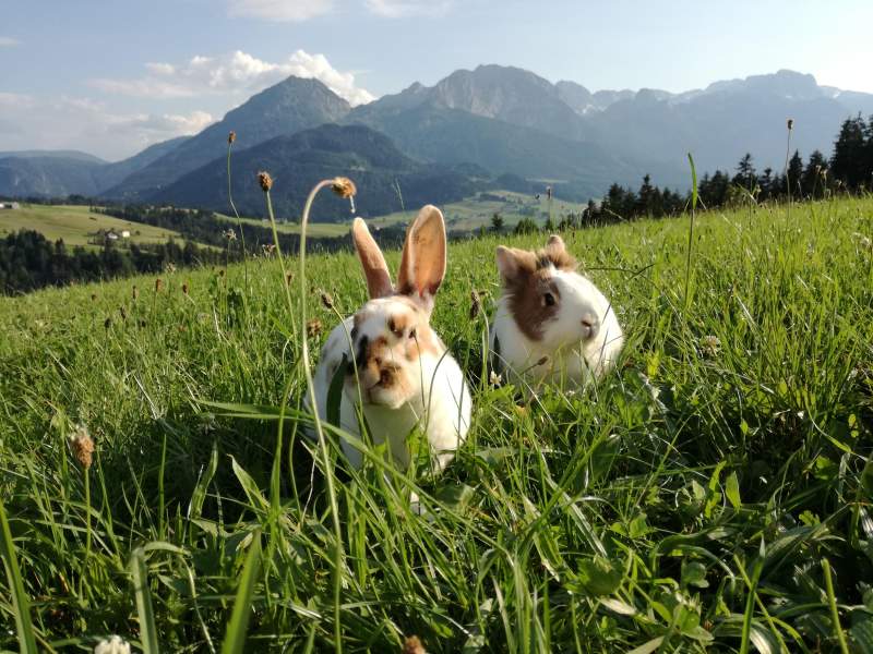 8a124a65-3971-4c5a-9054-4cb3ebc4e58d