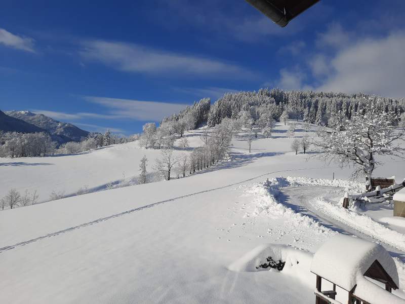 829090a0-e019-41ae-82ea-6d2e0ad82ce0