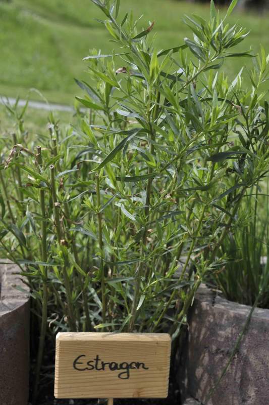 edadeaeb-f98b-4ea1-952c-a4bdd1664d3f