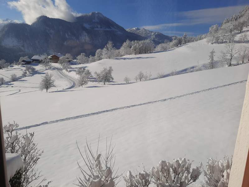 efd9d521-2f10-4ac9-a586-d8dfd35136d1