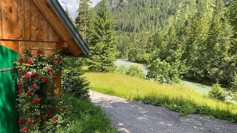 295448b520dcfc679c4872d238813bfd