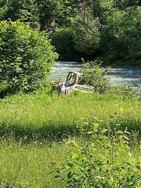 d0cd63688ae173dcfc13b576e0c85a9a