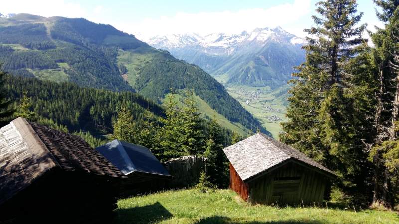 0ba6236d-e625-4eea-9d72-bba23d538e5a