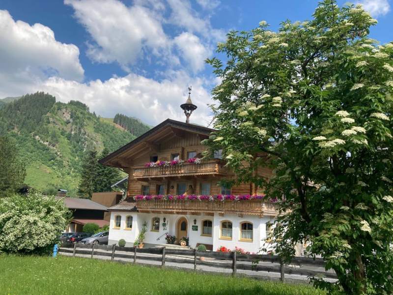 73ee3a82-a111-468b-8518-766033714cca