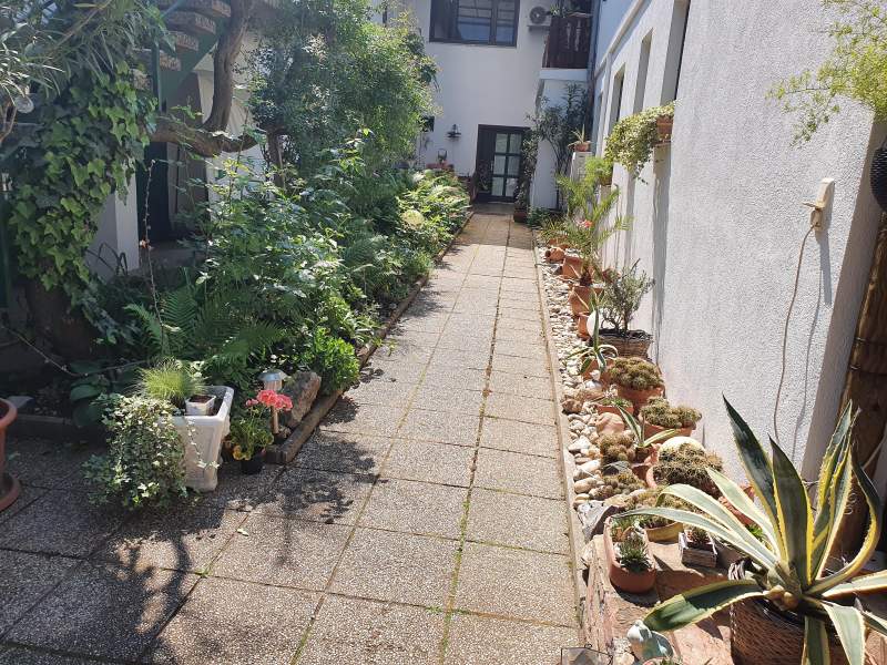 fc09c6e1-91ad-4d43-ae54-5cd02235f222