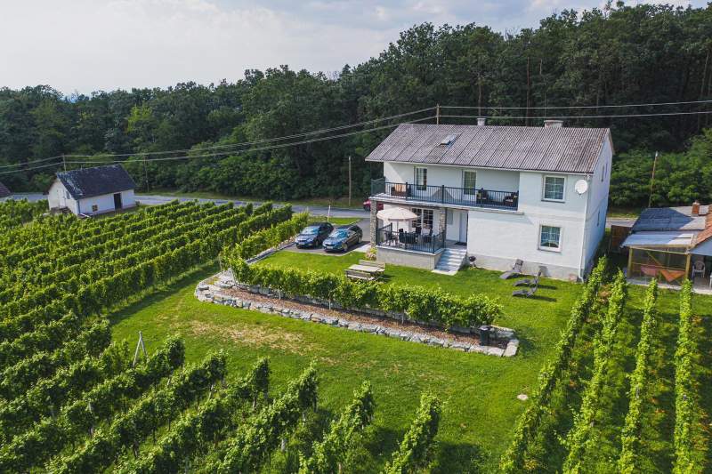 241b5cab-1495-4f2c-aebc-43d205c608d5