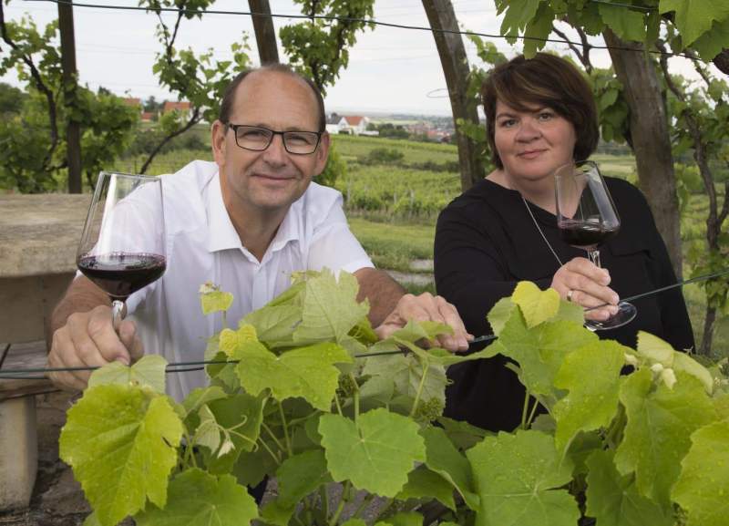 4e44913e-d8b8-4243-9d76-cc9f70c7dca0