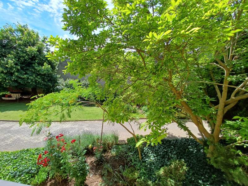 24ff29ae-42d7-42bd-bdee-03e737b5f954