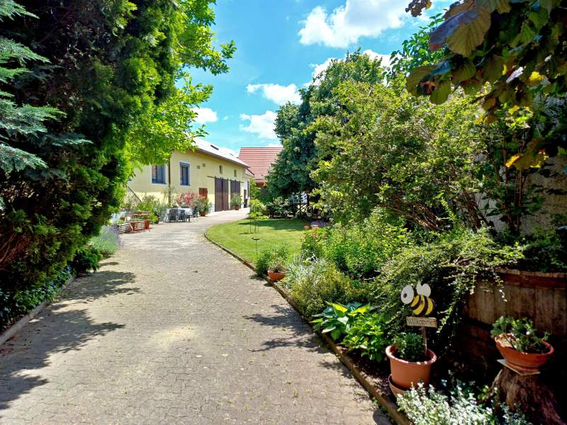 d95fba36-86d1-48cb-8e65-dddfbf1ed2f4