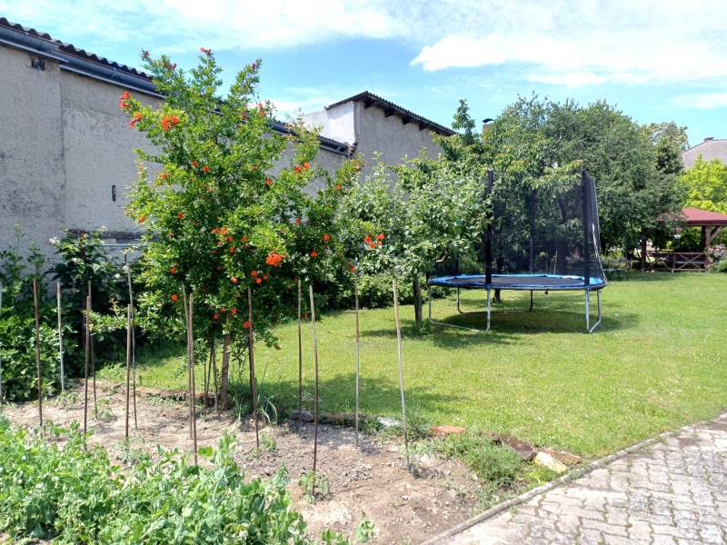 f767b068-a900-41dc-8334-d82ad5159e6e