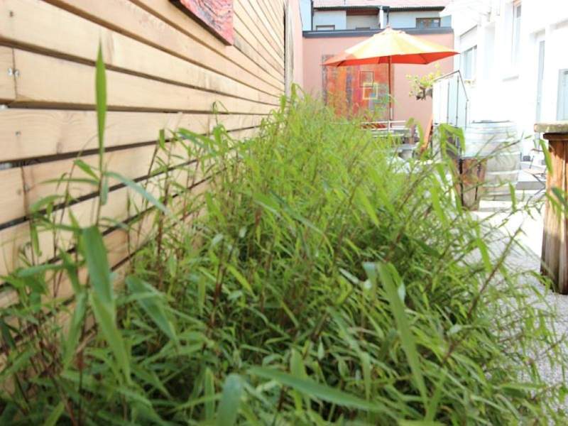 85e04709-aac5-45d4-a0e6-43bee3ec9f26