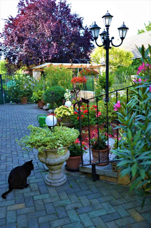 39338e7b-e593-4be8-a495-34156fa95af6