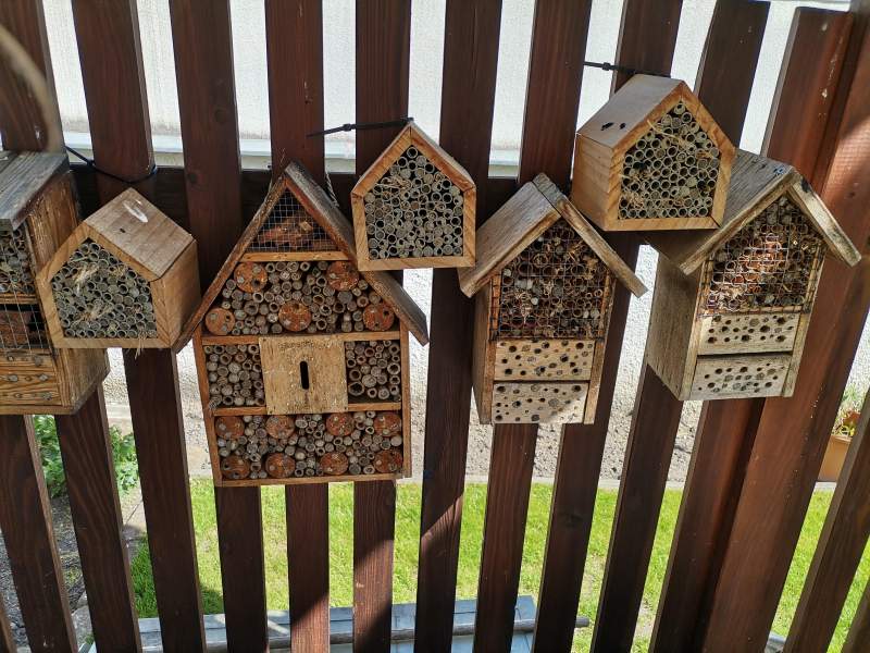 120a9425-91c9-48a8-8688-cc2d3ee6038c