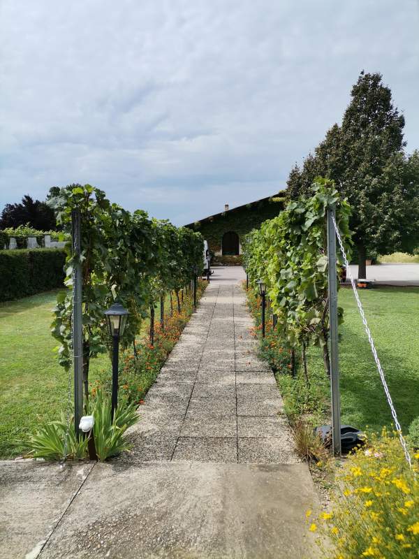 43b25e2c-77bd-4918-a751-84f1f28c4aa7