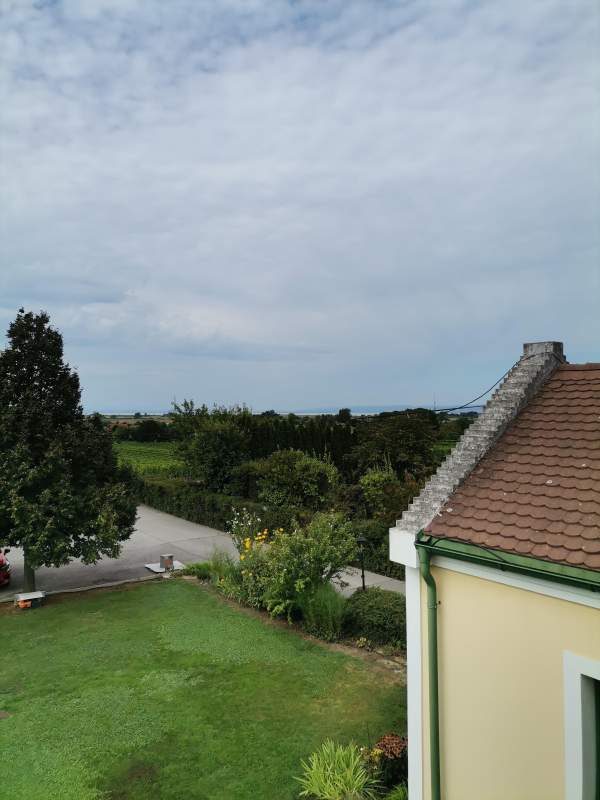 62fbf06f-fb6c-46c7-a2a0-43967b75cd92