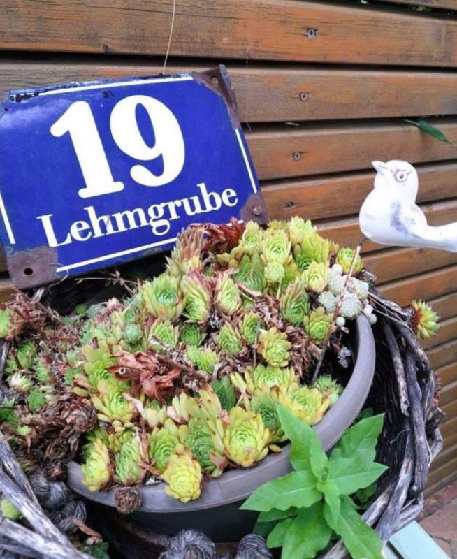 de74e30a-2fb5-41de-afa4-b1ac3560bcd3